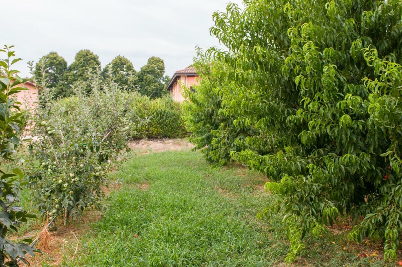 Agriturismo N'Uova Campagna Bologna Esterno foto